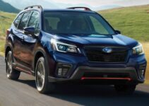 New Subaru Forester 2025 Rumors, Release Date, Models