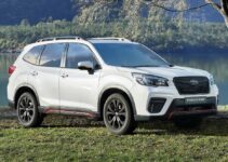 2025 Subaru Forester Base Changes, Engine, Price